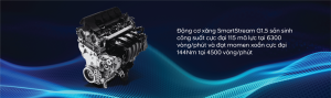 Động cơ Hyundai Stargazer