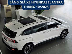 Bảng giá xe Hyundai Custin tại Nghệ An Tháng 10/2025 – Cập nhật mới nhất