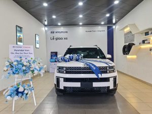 Vì sao Hyundai Santa Fe được gia đình Việt ưa chuộng?